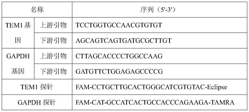 一种TEM1基因的检测方法及其在结直肠癌检测中的应用与流程