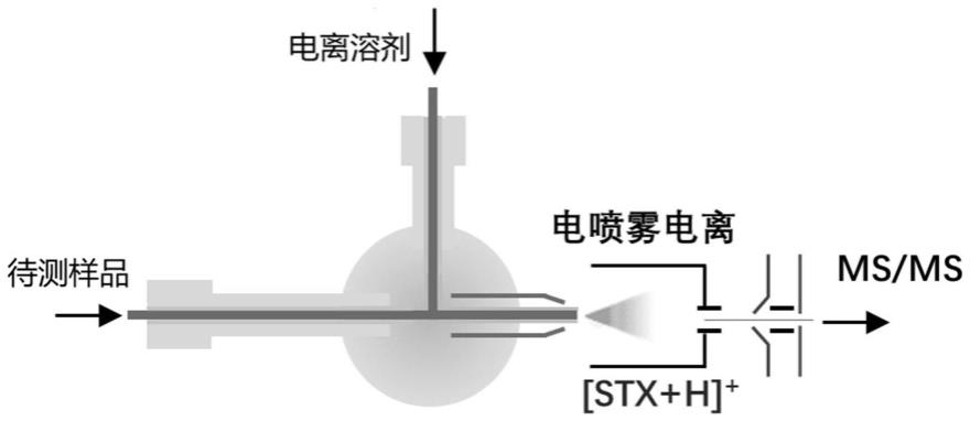 石房蛤毒素的检测方法和应用