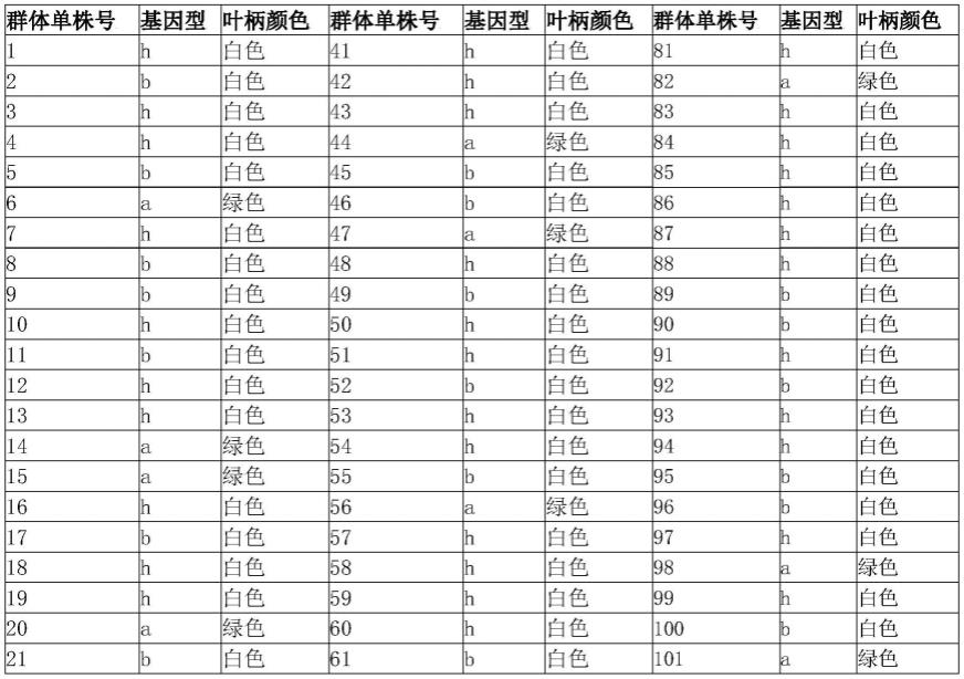 一种与芹菜叶柄白色性状紧密连锁的分子标记及其应用