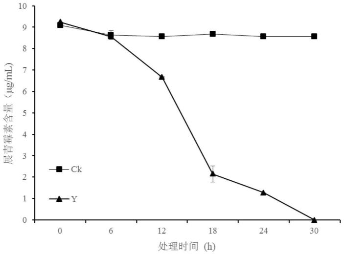 基于中国汉纳酵母降解展青霉素的用途