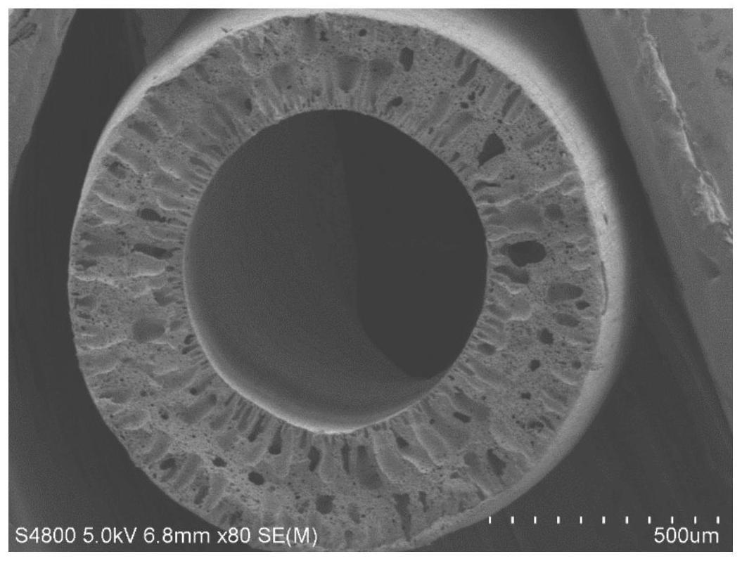 一种功能性中空复合纤维膜及其制备方法和应用