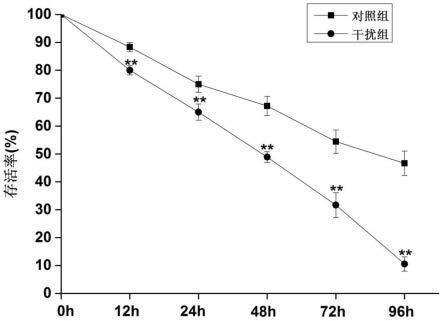 一种来源于日本沼虾外骨骼的C型凝集素及其编码基因和应用