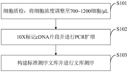 早期前列腺癌的检测用标志物、蛋白分子检测方法及应用与流程