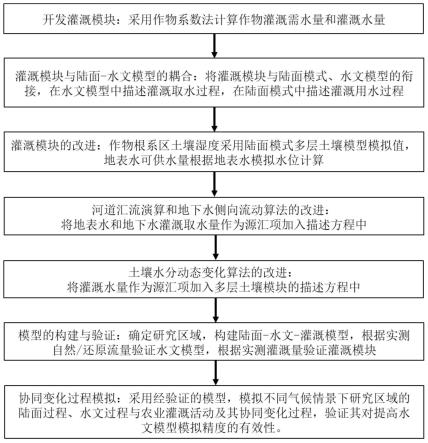 用于气候变化背景下陆面水文和农业灌溉协同变化的模拟方法及装置