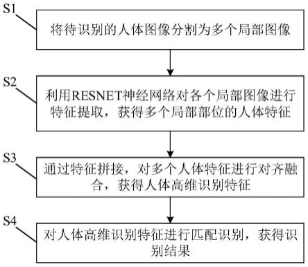 一种行人重识别方法、装置及电子设备与流程