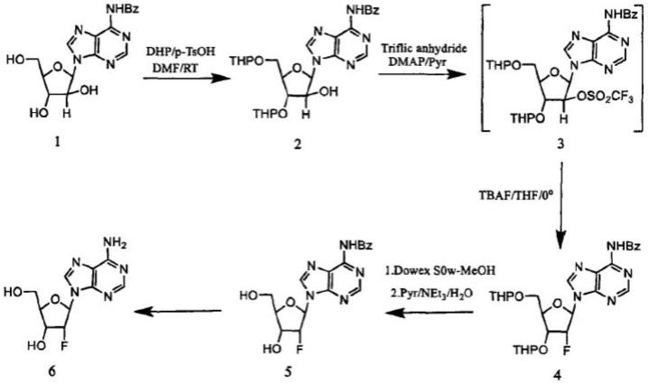 一种用于合成2`-氟-脱氧核糖核苷的固定化酶的制备方法及应用