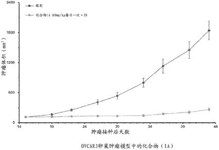 单一疗法和组合疗法的制作方法