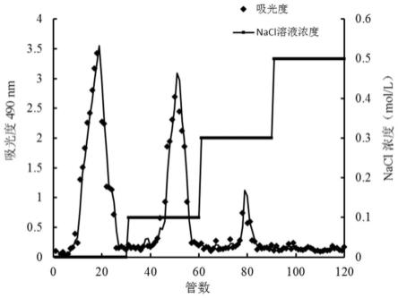 一种干巴菌胞外多糖及其应用