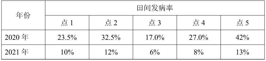 一种以生物农药为主的沙姜瘟综合防控方法