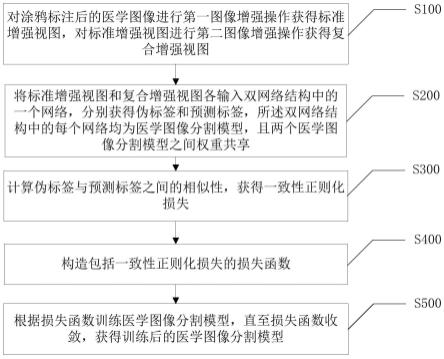 基于涂鸦标注的医学图像分割模型训练方法、装置及终端