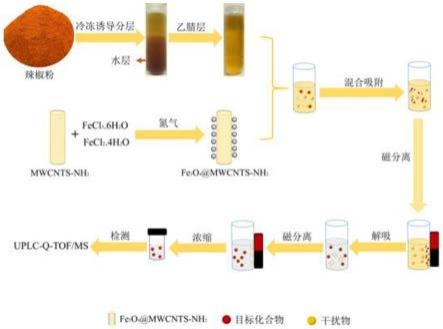 一种冷冻液液萃取联合Fe3O4@MWCNTs-NH2检测辣椒中多种真菌毒素的方法