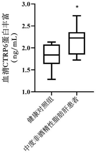 CTRP6基因在制备预防、治疗或缓解非酒精性脂肪肝病的药物中的应用