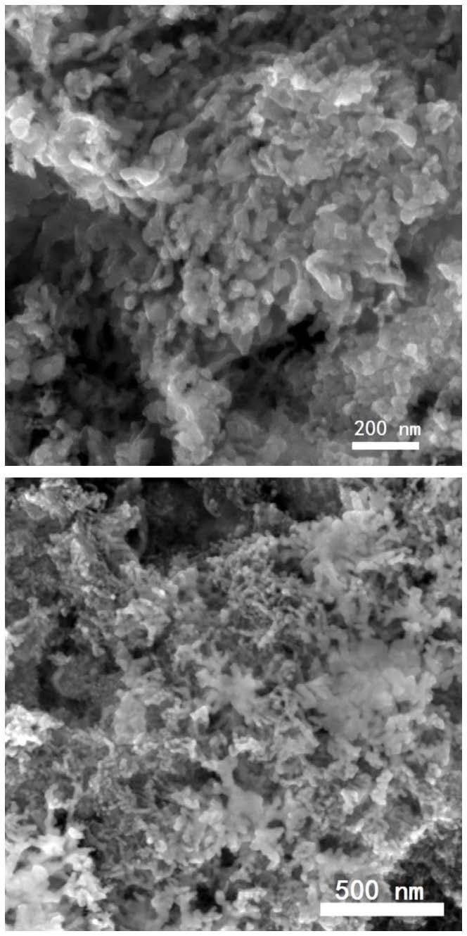 纳米氧化铱催化剂、其制备方法及应用与流程