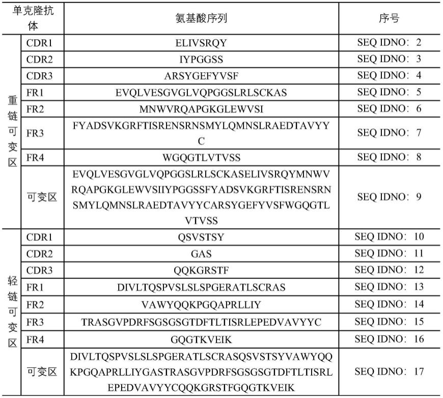 一种靶向冠状病毒RBD蛋白的抗体的制作方法