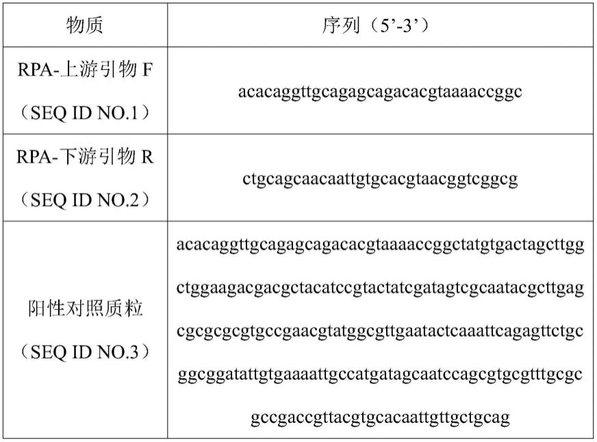 一种用于检测梅毒螺旋体的RPA引物组、试剂、试剂盒及其应用的制作方法