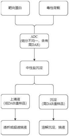 一种ADC样品高DAR值的盐析方法与流程
