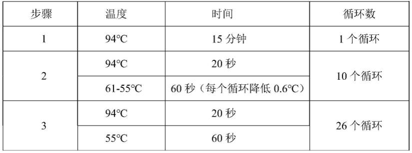 与菠菜抽薹主效QTL紧密连锁的SNP分子标记及其应用