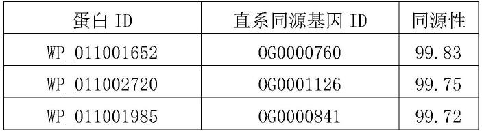 一种基于核心基因设计的茄科雷尔氏菌检测引物及其应用