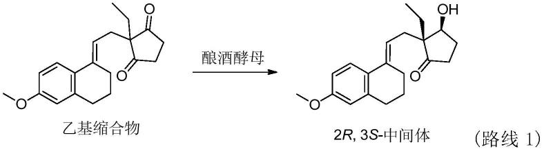 羰基还原酶突变体及其在环戊二酮类化合物还原中的应用