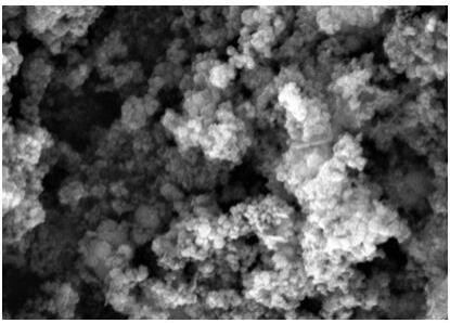 异原子掺杂藻基生物炭负载纳米零价金属催化剂的制备方法及应用