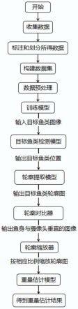 基于深度学习的水下鱼类重量估计方法、系统及电子设备