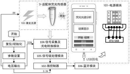 基于智能手机的适配体荧光脑利钠肽检测装置和传感方法