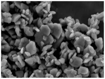 钙钛矿型金属氧化物负极材料及其制备方法以及负极极片和锂电池与流程