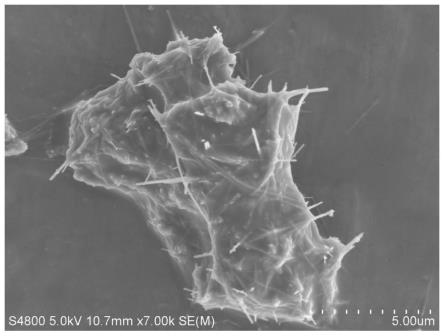 一种聚苯胺包覆二氧化锰纳米卷的正极材料及其制备方法