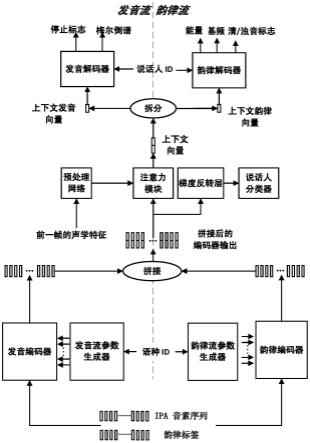 基于韵律发音解耦的元学习多语种语音合成模型及方法