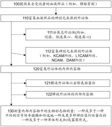 作为用于神经退行性状况的生物标志物的激酶的制作方法