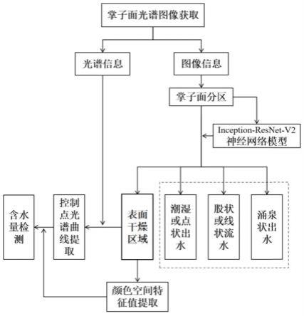 一种非接触式隧道掌子面围岩含水量检测方法及系统