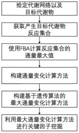 一种基于通量平衡分析的代谢网络关键因子挖掘方法