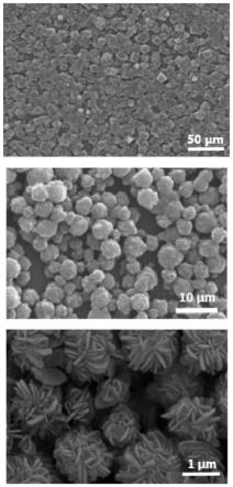 一种Ni-Co@C碳核壳疏水纳米颗粒催化剂的制备方法和应用与流程