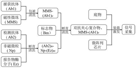 一种高灵敏度的数字化酶联免疫吸附分析样品的制备方法与流程