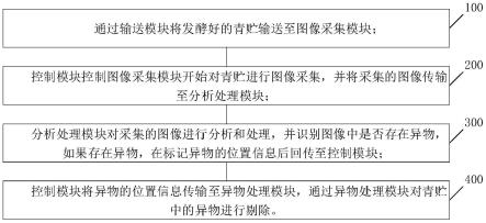 一种青贮异物检测和处理方法及系统与流程