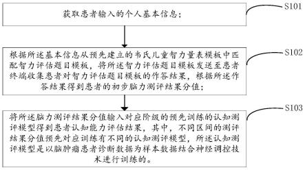 基于神经网络的脑肿瘤术前认知评估方法、系统和装置与流程