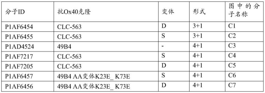 靶向OX40和FAP的双特异性抗原结合分子的制作方法