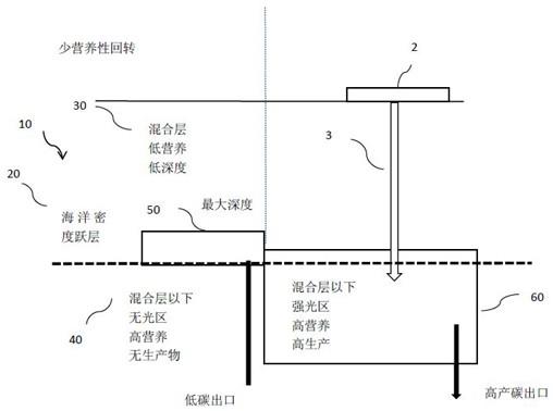 一种海洋中碳封存的改进方法