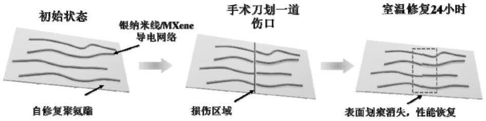 一种具有室温自修复能力的银纳米线/MXene复合透明电磁屏蔽薄膜的制备方法