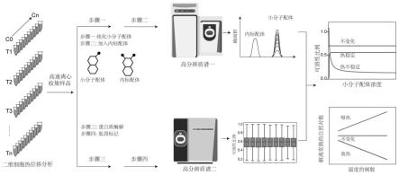 一种高通量测定配体与蛋白之间结合能量的方法及装置