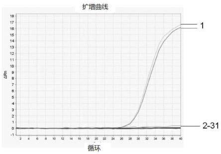 用于检测蜜源植物的组合物、试剂盒、检测方法及应用