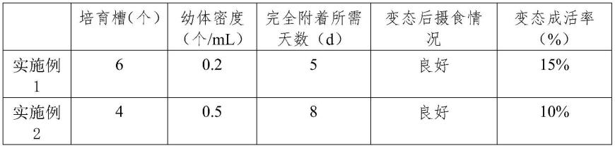 一种可口革囊星虫人工育苗诱导变态装置及方法与流程