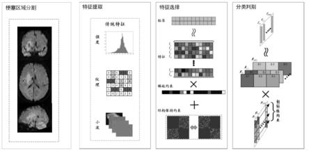 脑实质MRI影像的梗塞变化预测方法与流程