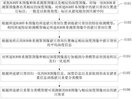 一种基于深度相机的体重预估方法、系统及终端与流程