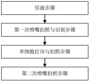 一种单细胞分选与鉴定方法及装置与流程