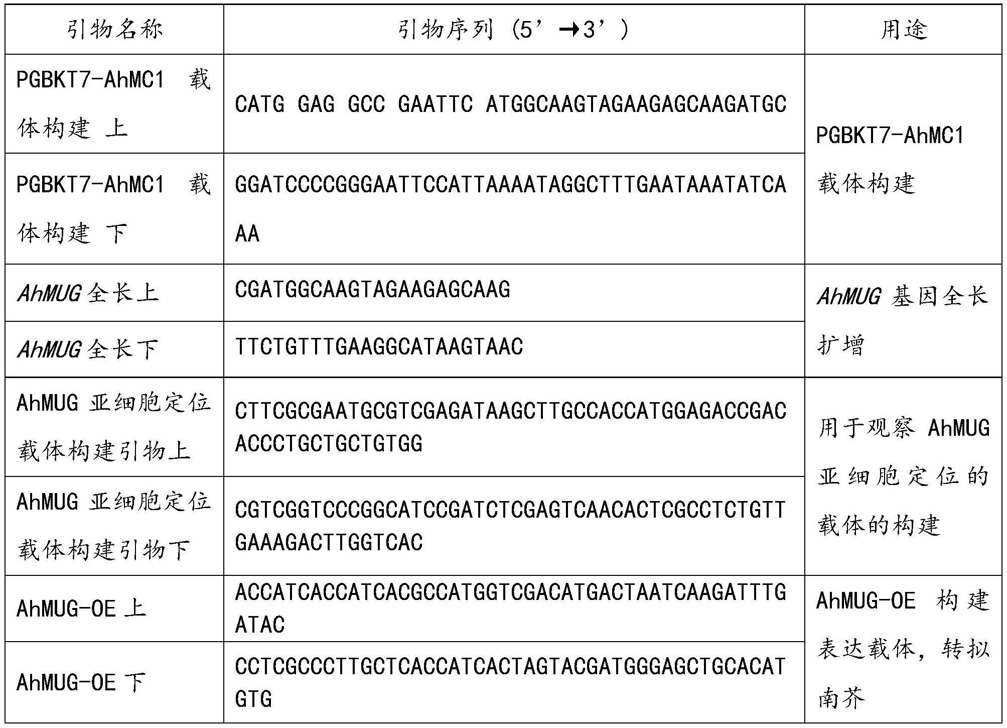 调控植物细胞程序性死亡的转录因子及其应用