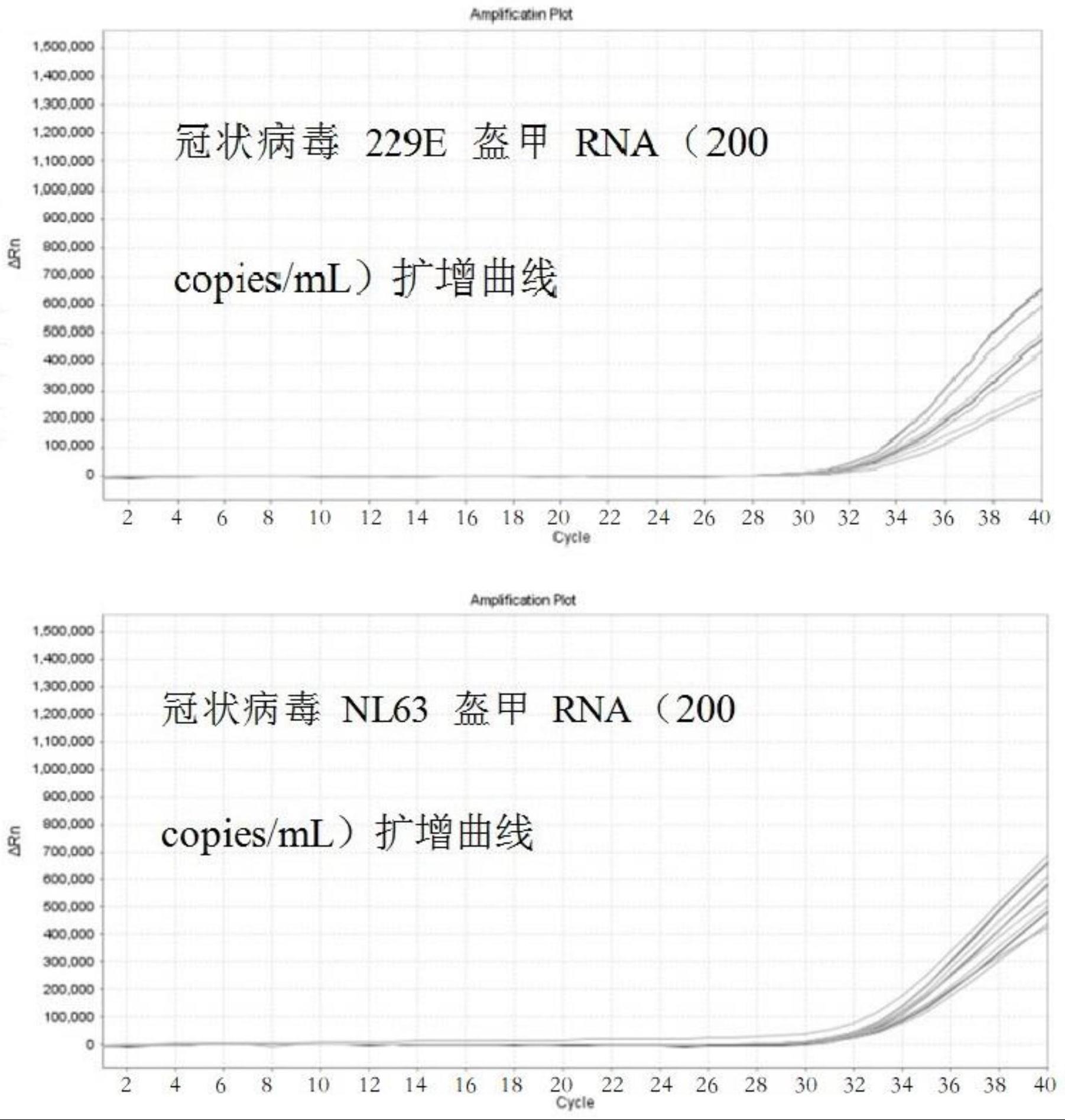 一种冠状病毒病原体核酸检测试剂及其检测方法和应用与流程