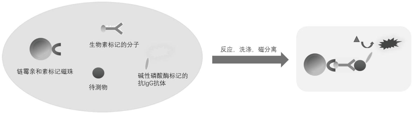 一种检测重金属的磁微粒化学发光试剂盒的制作方法