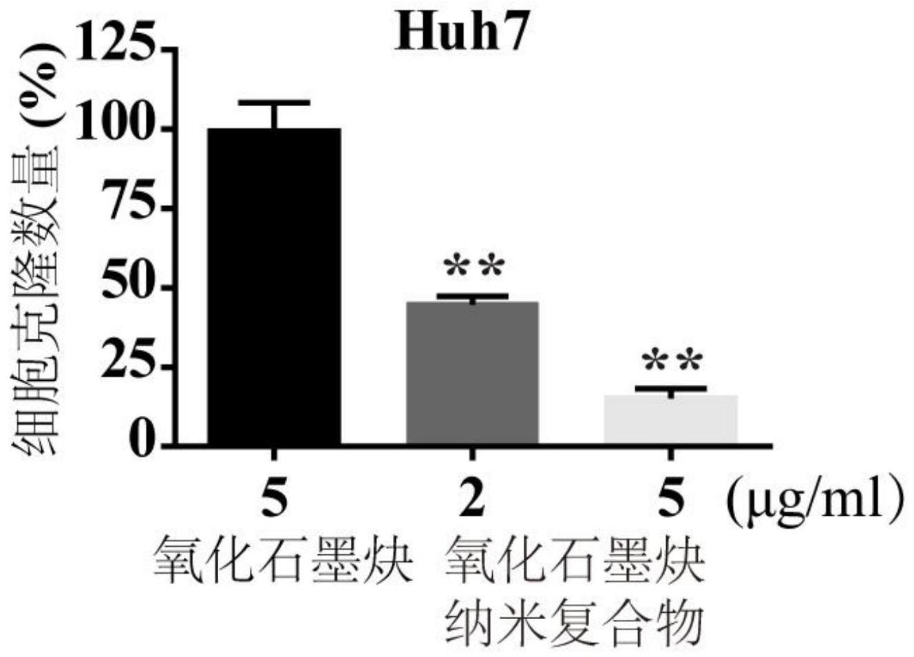 一种纳米材料复合物及其抗肿瘤用途的制作方法