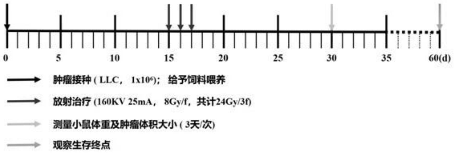 一种生酮饮食配方及其在制备用于肿瘤代谢治疗和放疗增敏的制剂中的应用的制作方法